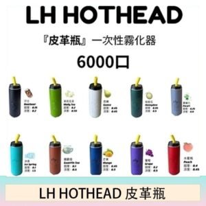 LH HOTHEAD皮革瓶電子煙可充電6000口一次性