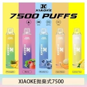 17種口味|梟客一次性電子菸 XIAOKE 7500口 炫酷發光設計